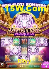 Casino VIP RRyy